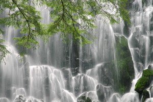 世界体操团体赛赛场评分回放系统用户案例征集活动启动，世界体操锦标赛