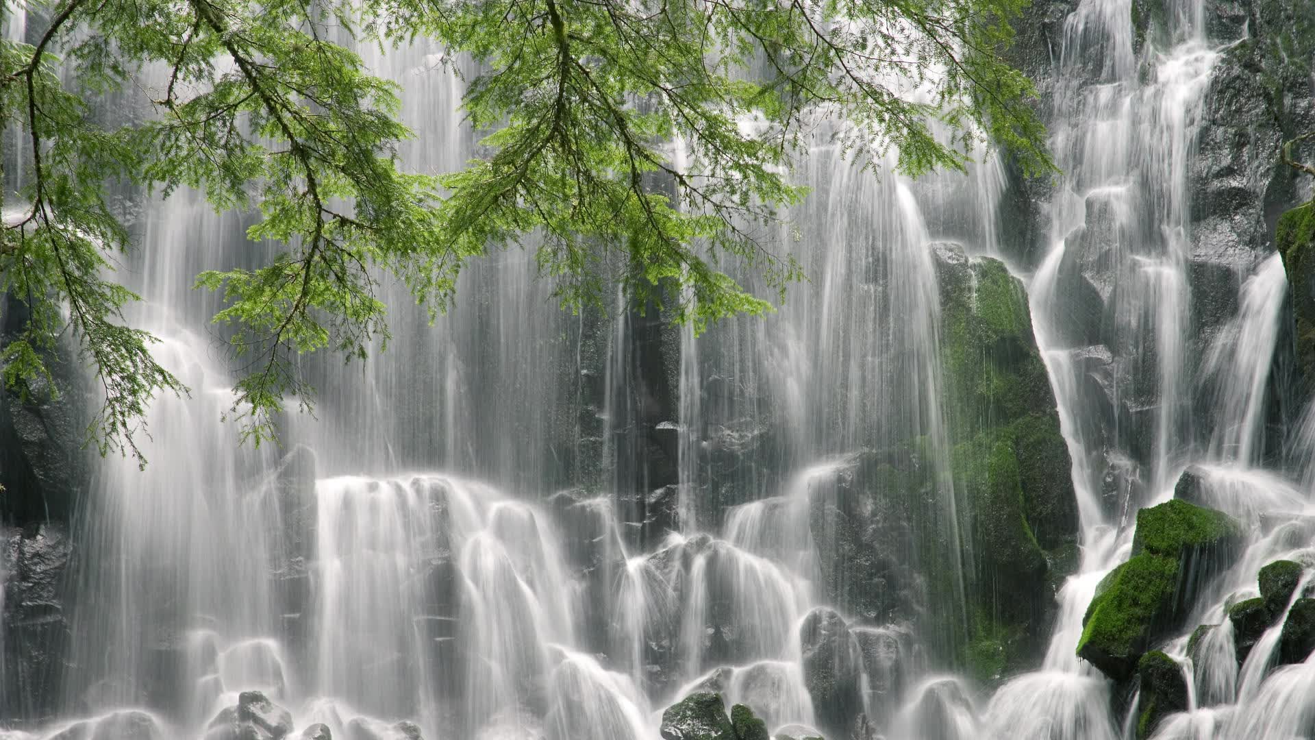 世界体操团体赛赛场评分回放系统用户案例征集活动启动，世界体操锦标赛